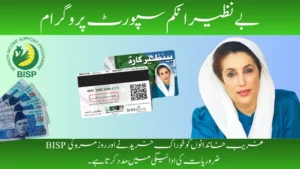 Benazir Income Support Program 