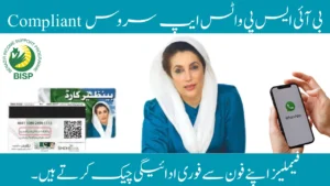 BISP WhatsApp Compliant Service 
