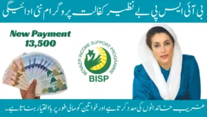 BISP Benazir Kafaalat Program New Payment 