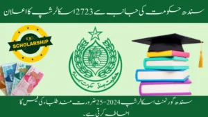 2723 Scholarship Announced by Sindh Government 
