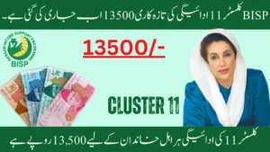 BISP Cluster 11 Payment Update 13500 Now Released