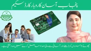 Punjab Asan Karobar Card Scheme