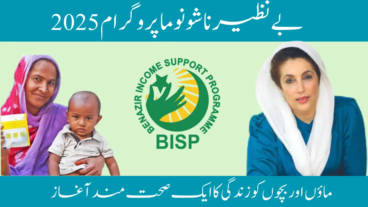 Benazir Nashonuma Program 2025