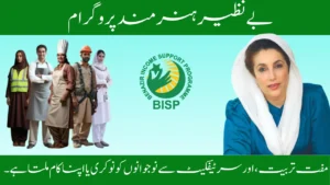 Benazir Hunarmand Program