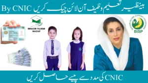 Benazir Taleemi Wazaif Check Online By CNIC