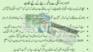 Track Your BISP Payment Online: Complete Official Portal Guide 2025