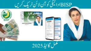 BISP Payment Online: Track Your Status Easily