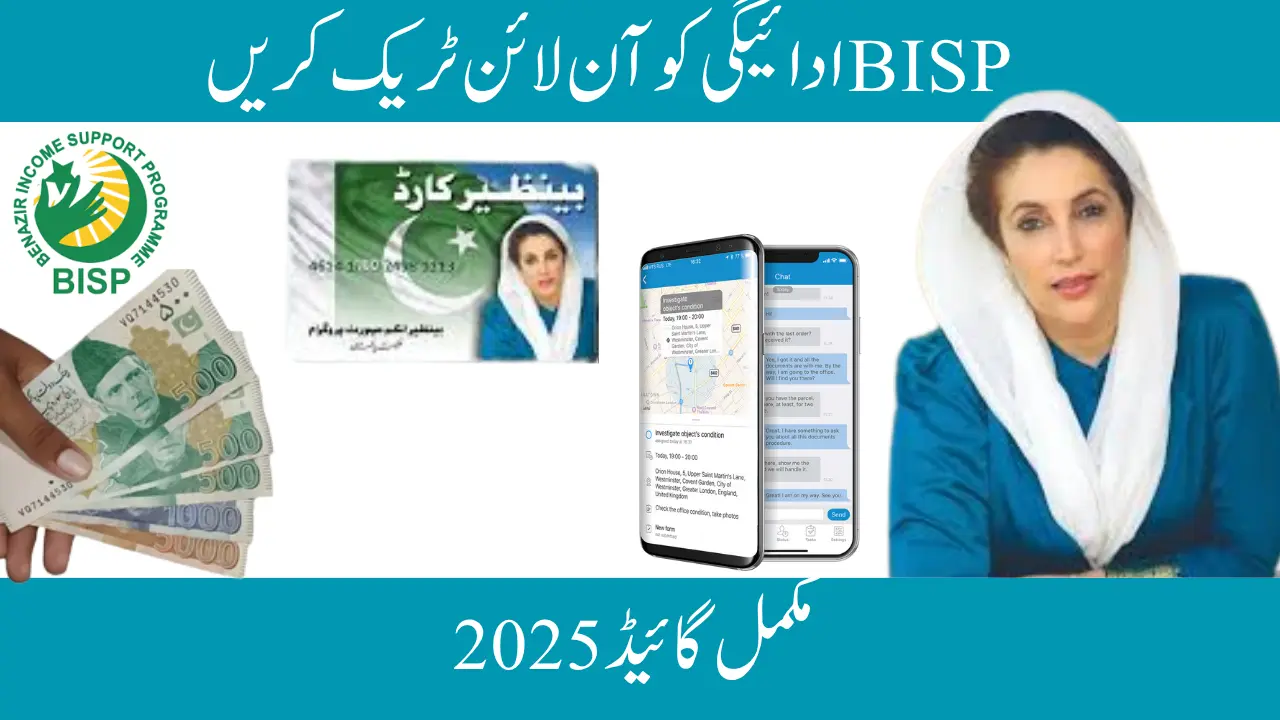 BISP Payment Online: Track Your Status Easily