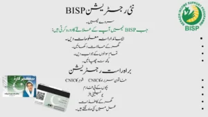 BISP 8171 Payment Collection: Complete Verification Guide October 2025