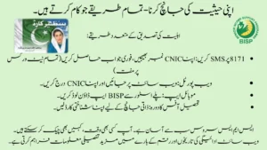 BISP Eligibility Criteria October 2025: Who Can Apply 