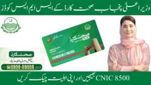 CM Punjab Sehat Card SMS Codes 