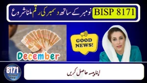 8171 December Payment Update 2025