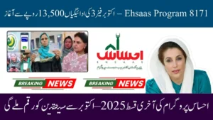 https://webportal8171.com.pk/new-bisp-complaint-system-2025-8171-online-whatsapp-and-portal-access/
