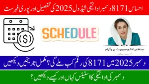 BISP 8171 December Payment Schedule 2025 – Complete Guide