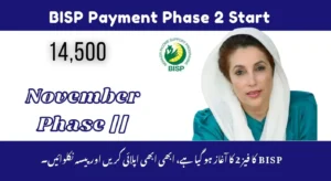BISP Payment Phase 2 (Updated November 2025) – CNIC Check & Balance