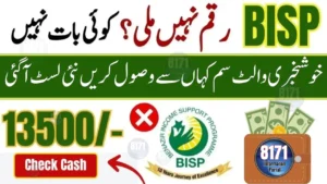 BISP Wallet SIM 8171 Complete Guide 2025 – Easy Method to Activate and Use