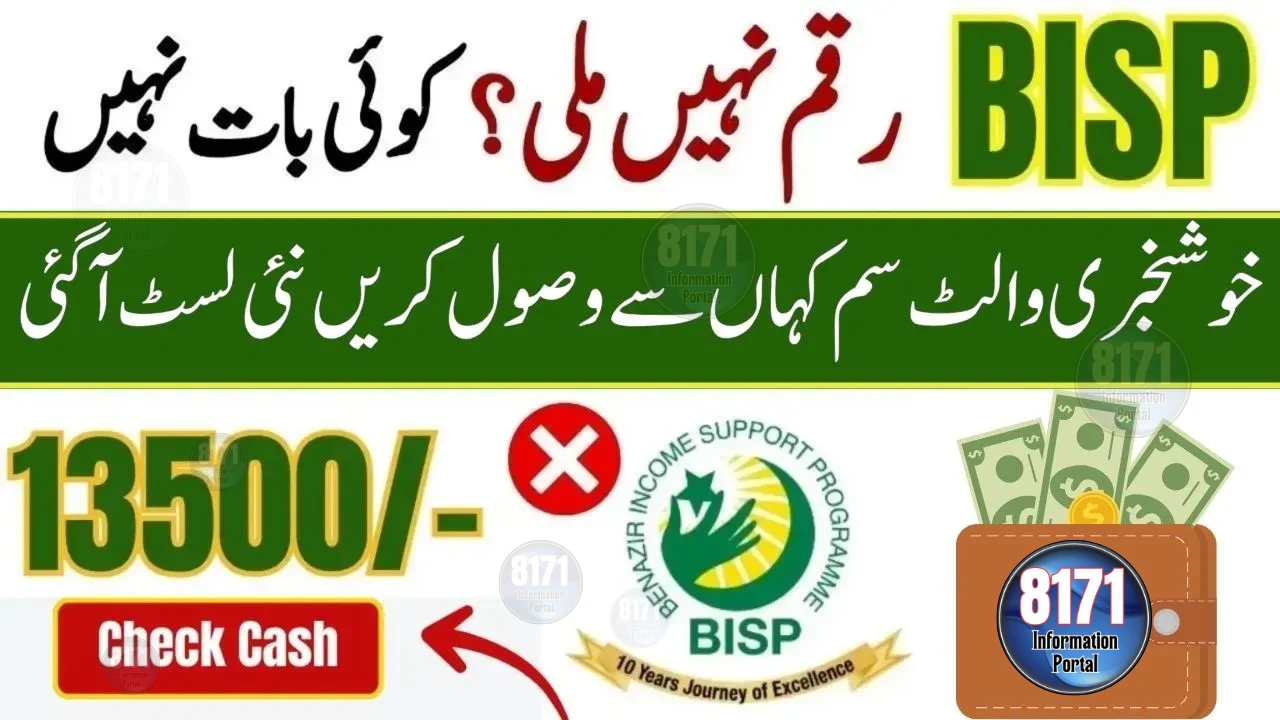 BISP Wallet SIM 8171 Complete Guide 2025 – Easy Method to Activate and Use