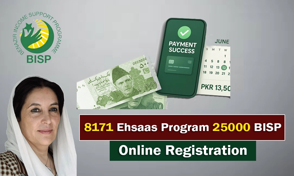 Check Your BISP Payment Instantly with 8171 SMS Service 2025
