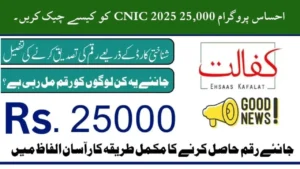 Ehsaas Program 25,000 CNIC Check 2025 — Complete Guide to Eligibility, Confirmation & Payment